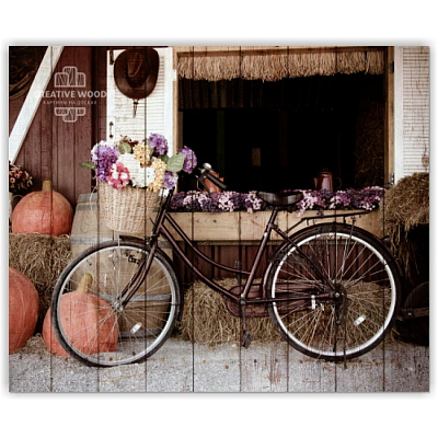 Картины Велосипеды - Велосипед с тыквой, Велосипеды, Creative Wood